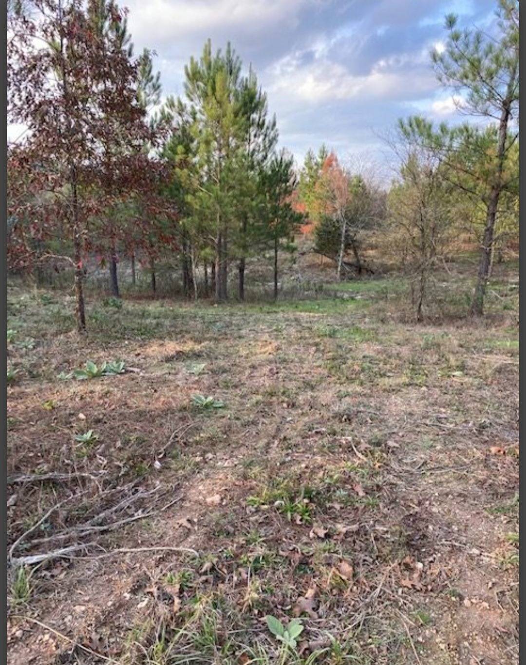Photo 1 of 5 of land for sale at Lot42 Hidden Pines, Broken Bow, OK 74728