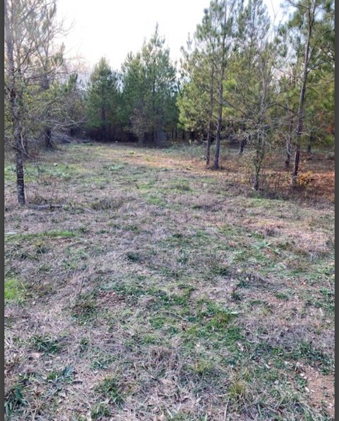 Photo 3 of 5 of land for sale at Lot42 Hidden Pines, Broken Bow, OK 74728