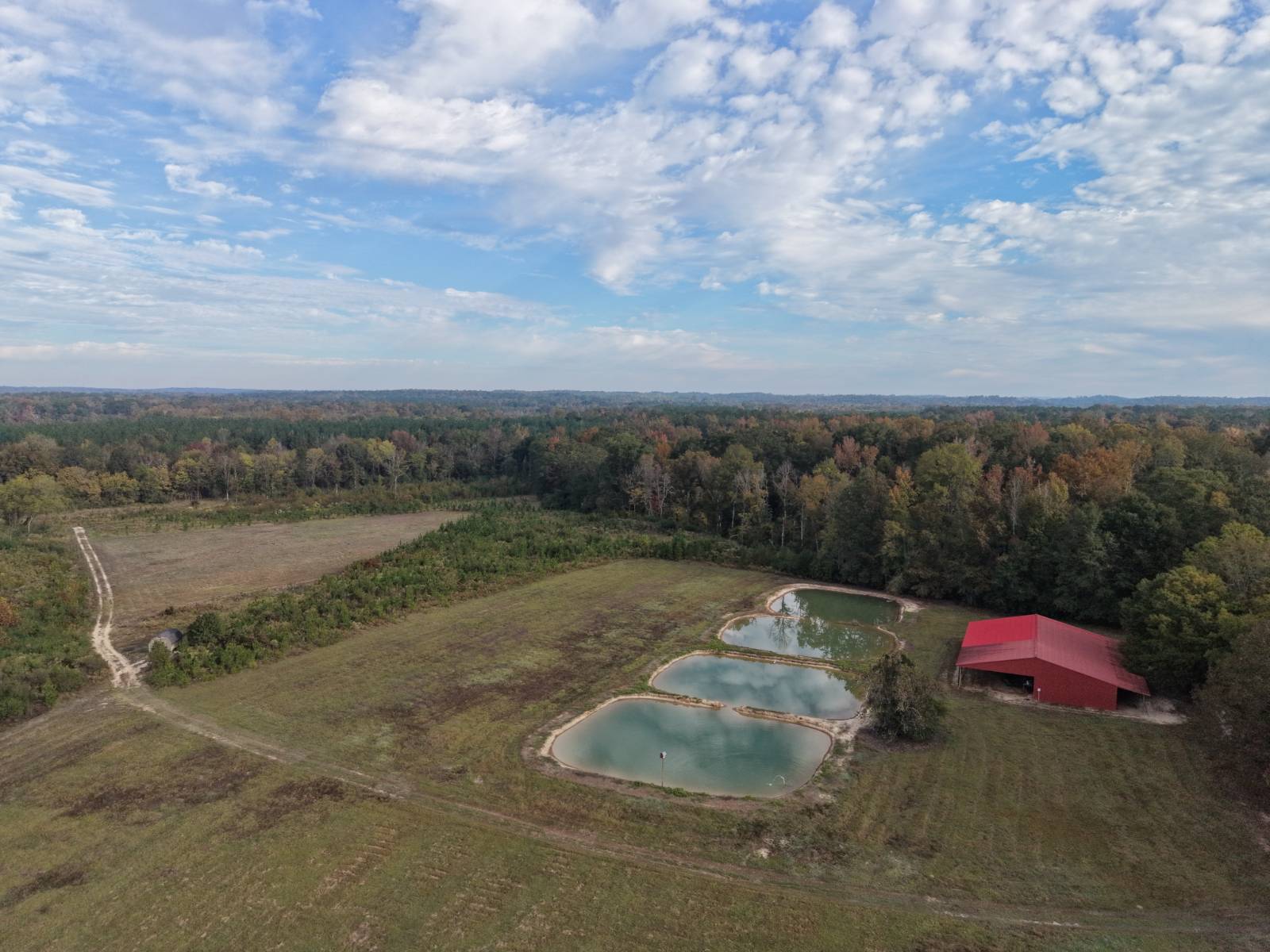 50-Acre Hunting Land for Sale, Marengo County, AL, photo 3 of 47