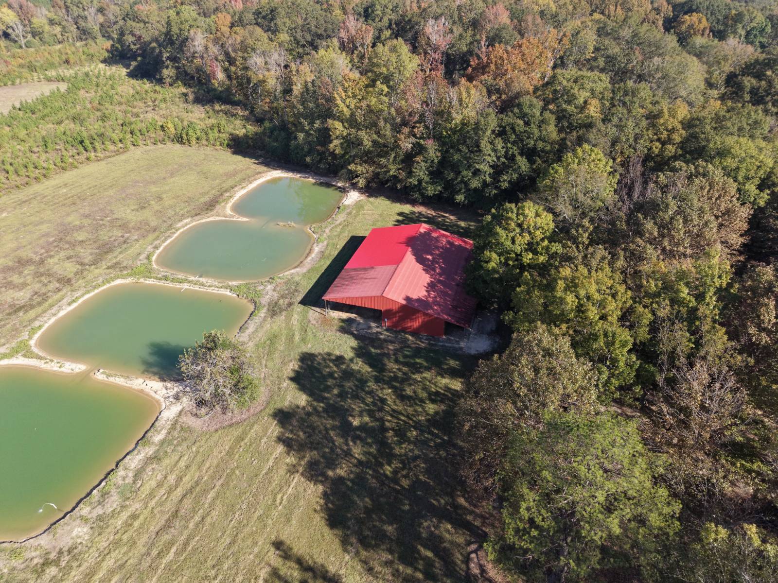 50-Acre Hunting Land for Sale, Marengo County, AL, photo 2 of 47