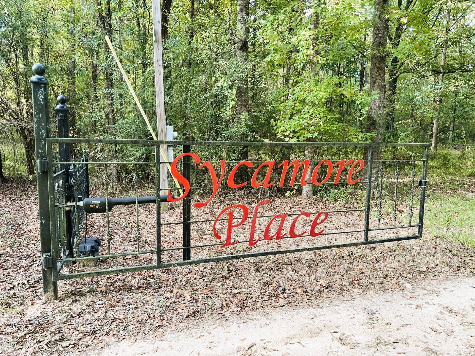 50 acres in Marengo County, AL: hunting land for sale near Linden, AL