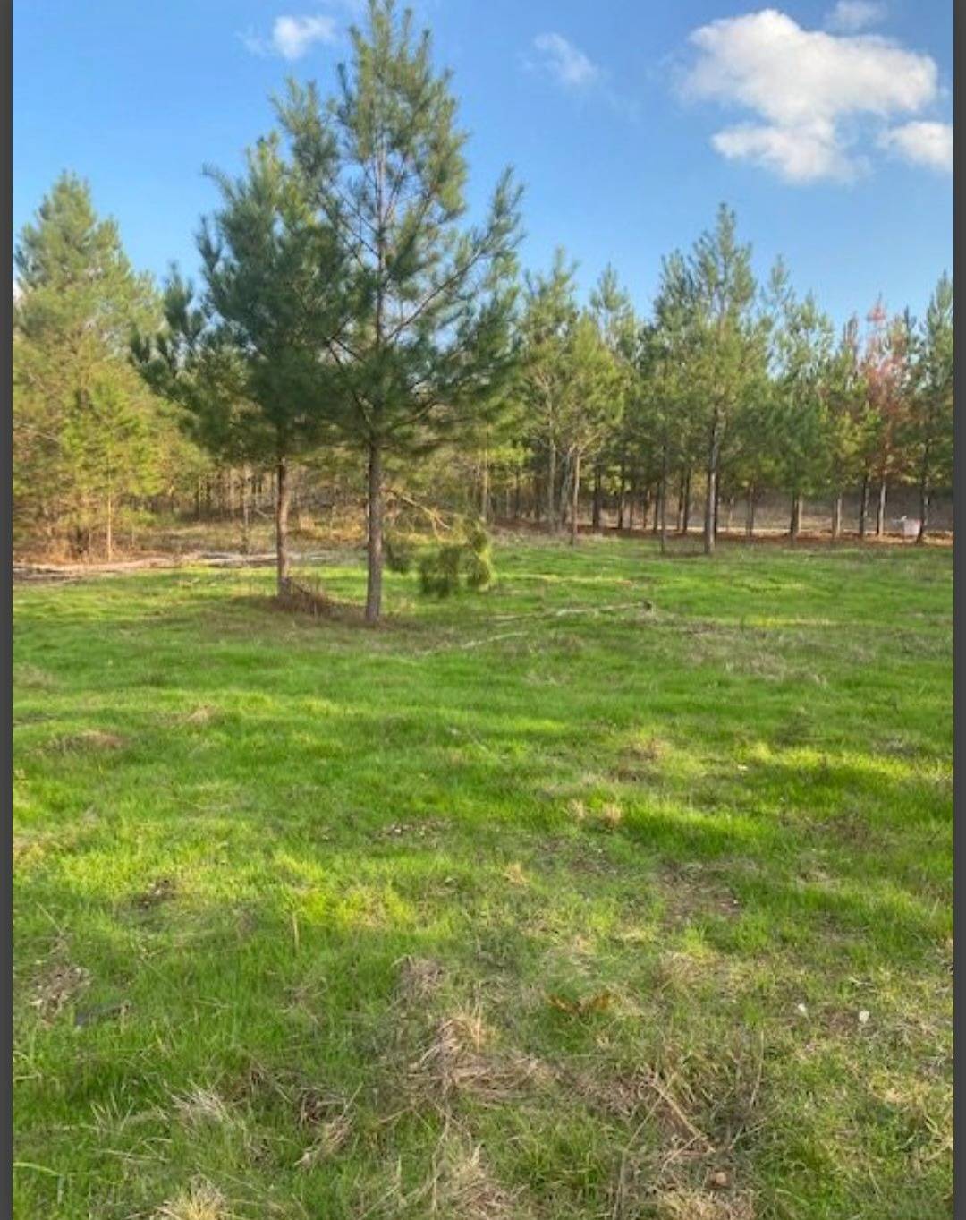 Photo 5 of 6 of land for sale at Lot 3 Hidden Pines, Broken Bow, OK 74728