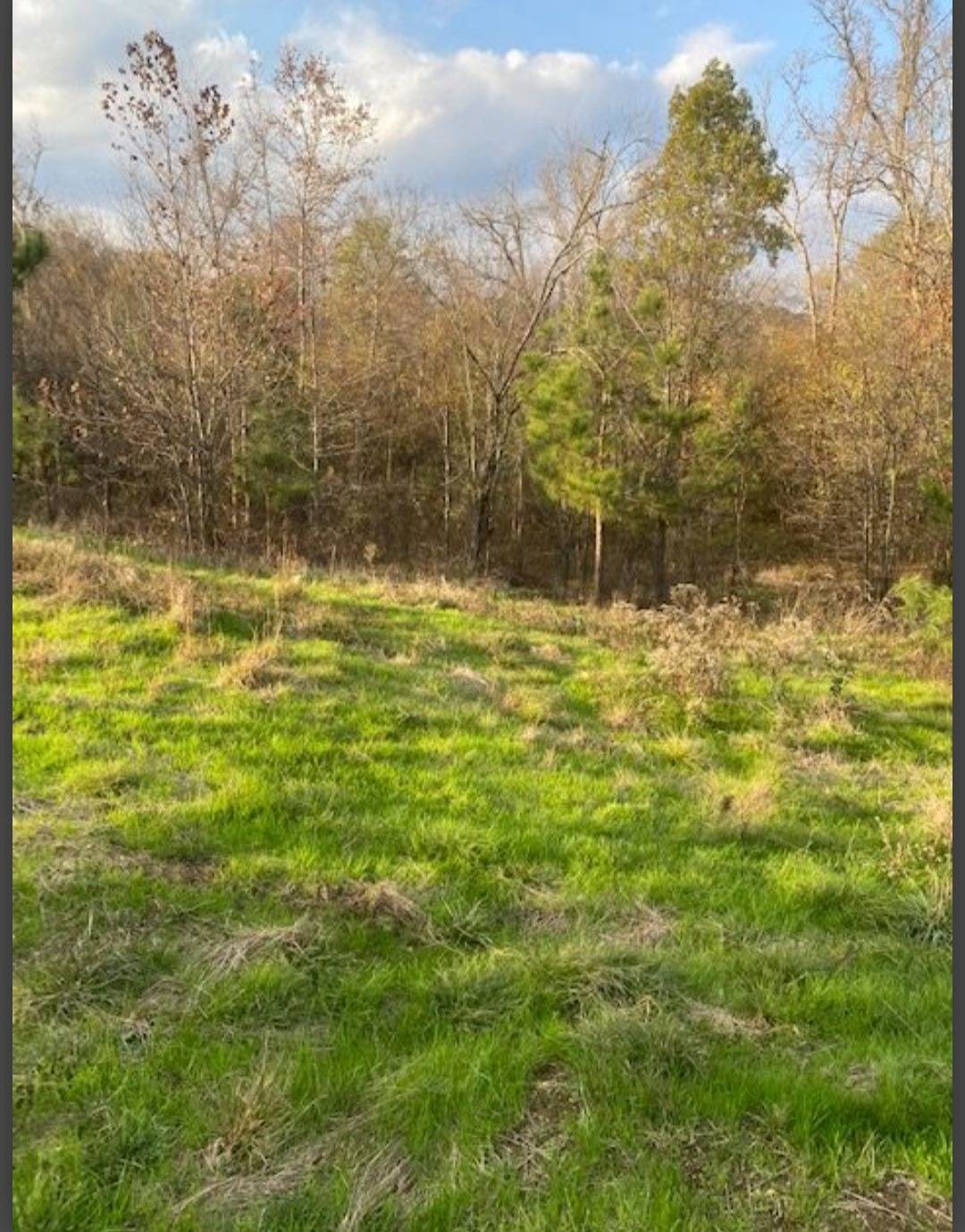 Photo 2 of 6 of land for sale at Lot 3 Hidden Pines, Broken Bow, OK 74728