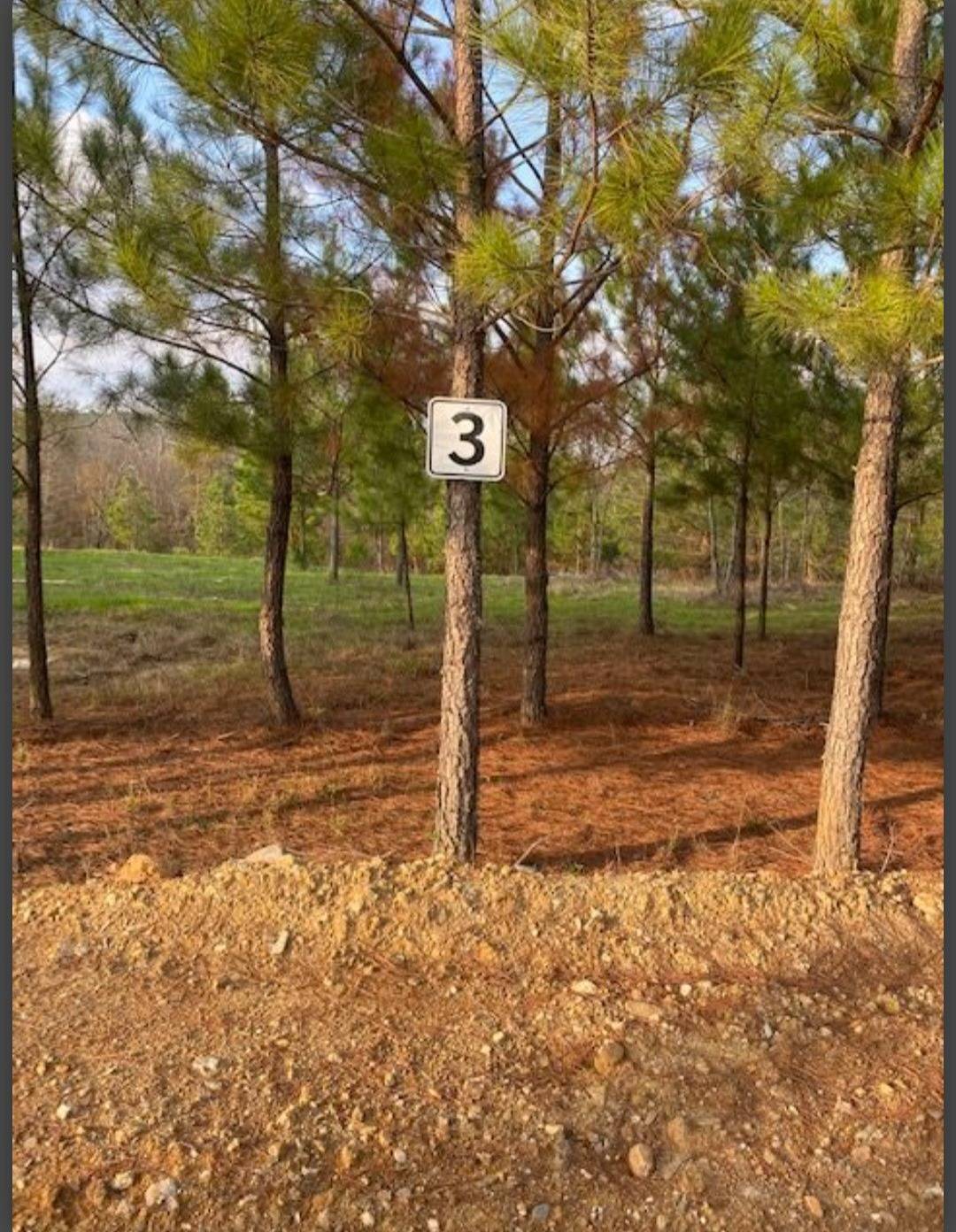 Photo 1 of 6 of land for sale at Lot 3 Hidden Pines, Broken Bow, OK 74728