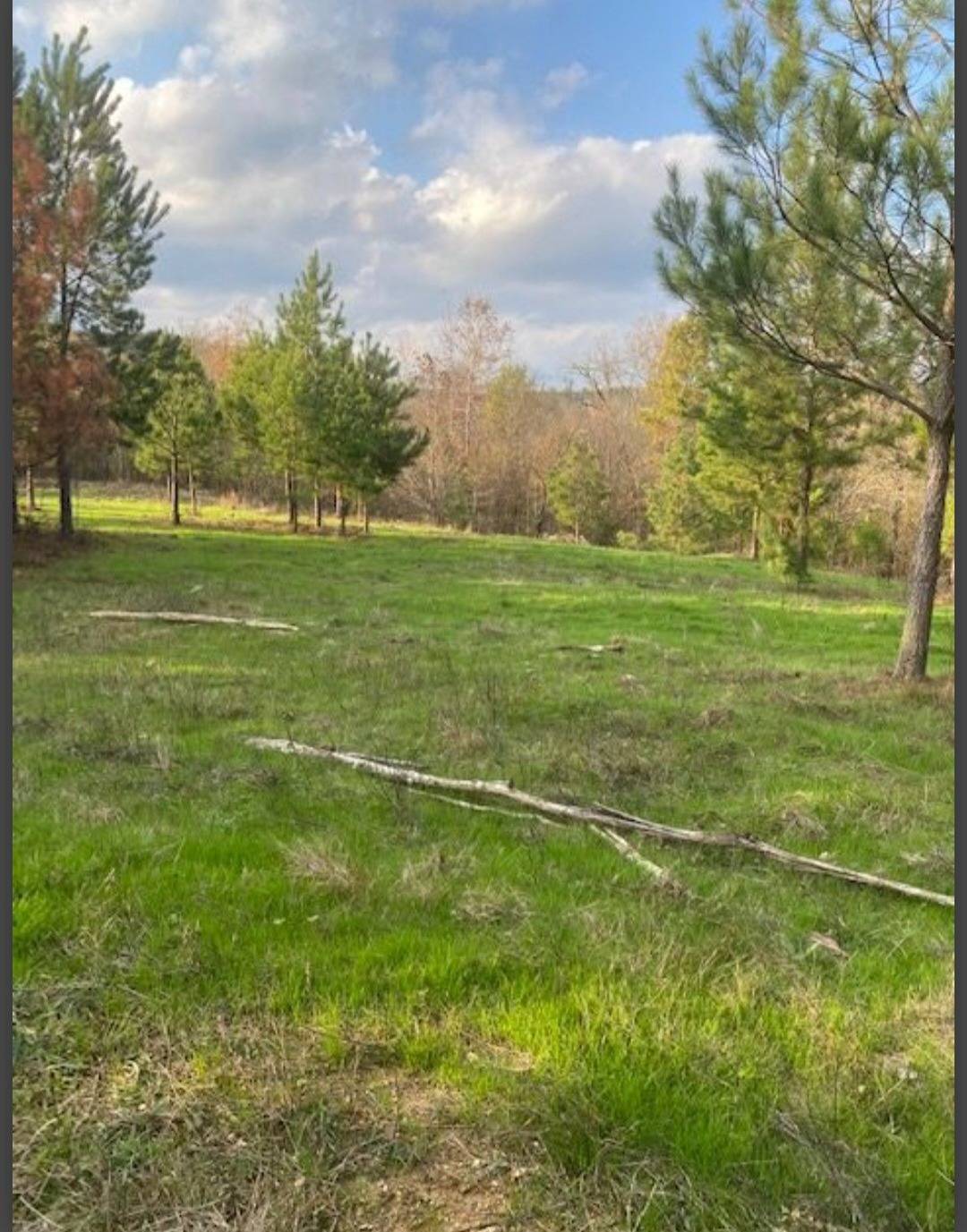 Photo 4 of 6 of land for sale at Lot 3 Hidden Pines, Broken Bow, OK 74728