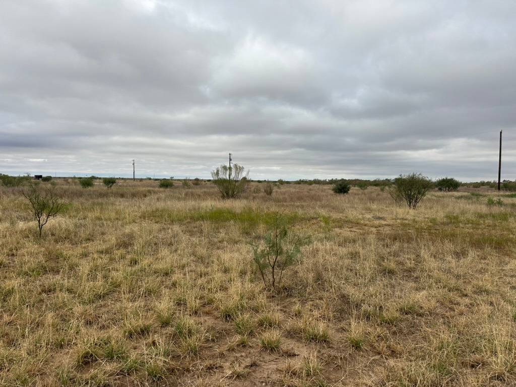 Photo 3 of 4 of land for sale at TBD FM 605 #Lot 8, Merkel, TX 79536