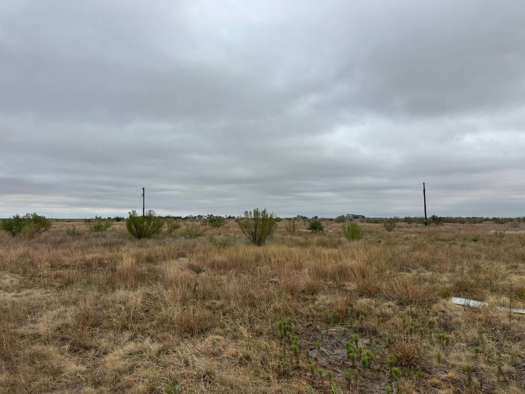 Photo 1 of 4 of land for sale at TBD FM 605 #Lot 8, Merkel, TX 79536