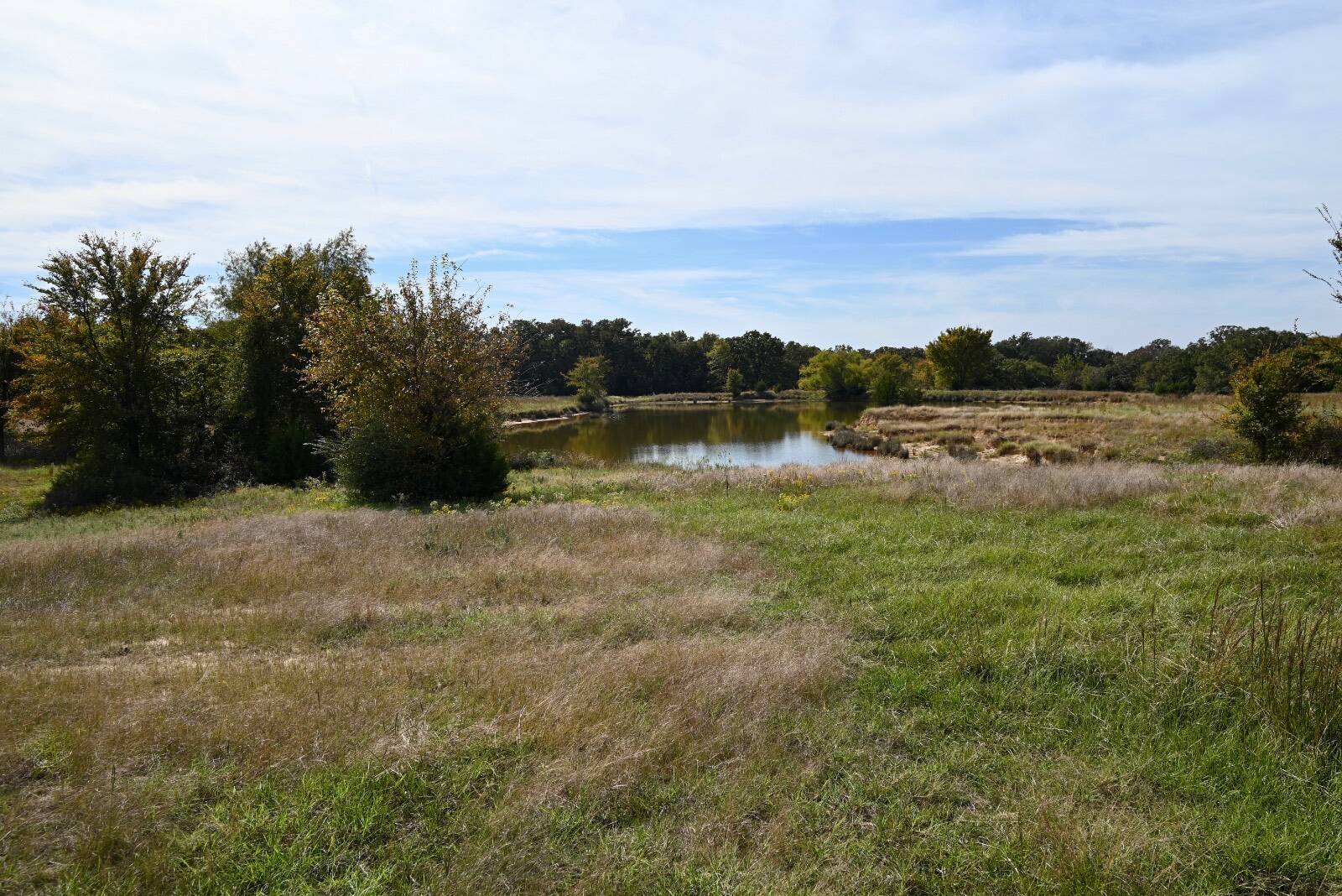 37.2-Acre Hunting Land for Sale, Johnston County, OK, photo 3 of 20