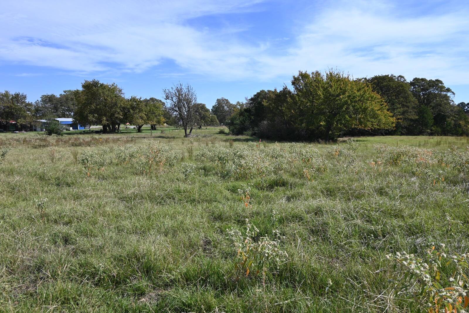 37.2-Acre Hunting Land for Sale, Johnston County, OK, photo 2 of 20