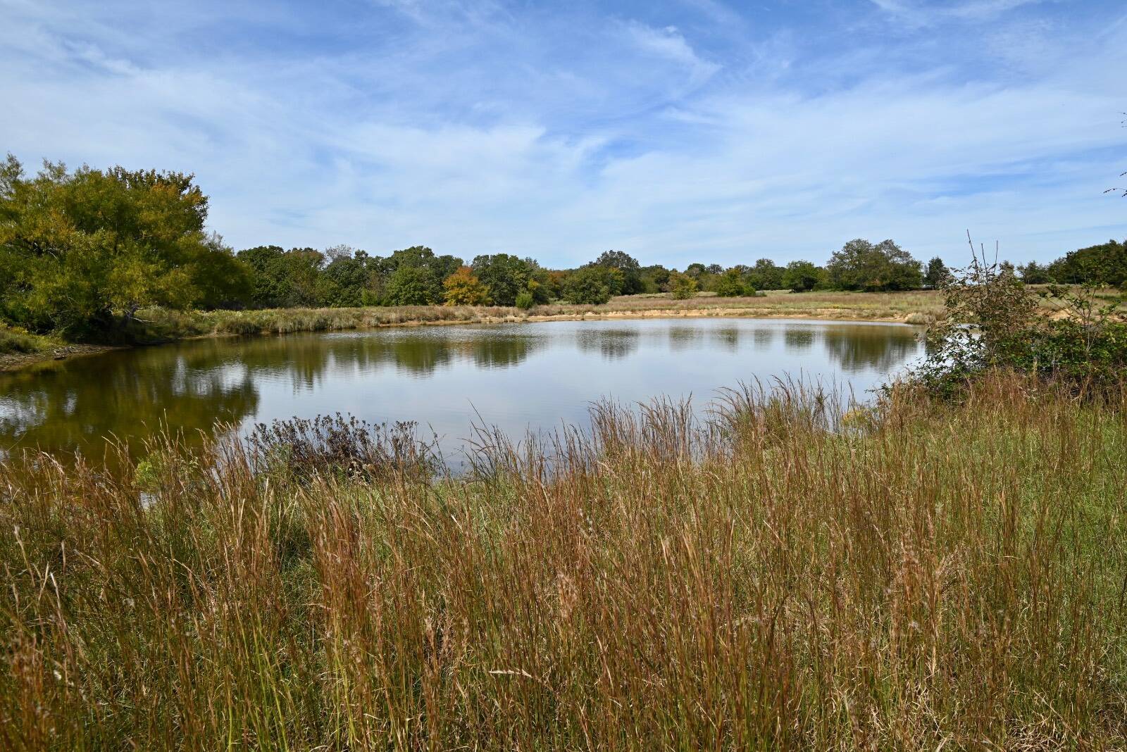 37.2 acres in Johnston County, OK: hunting land for sale near Coleman, OK