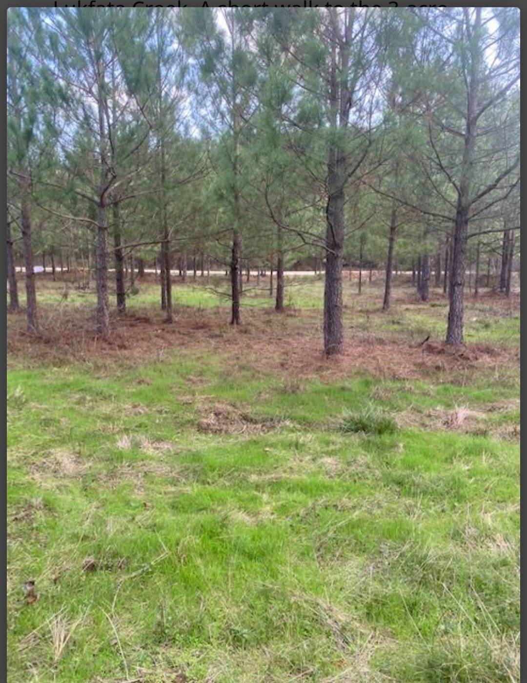 Photo 4 of 6 of land for sale at Lot #4 HIdden pines, Broken Bow, OK 74728