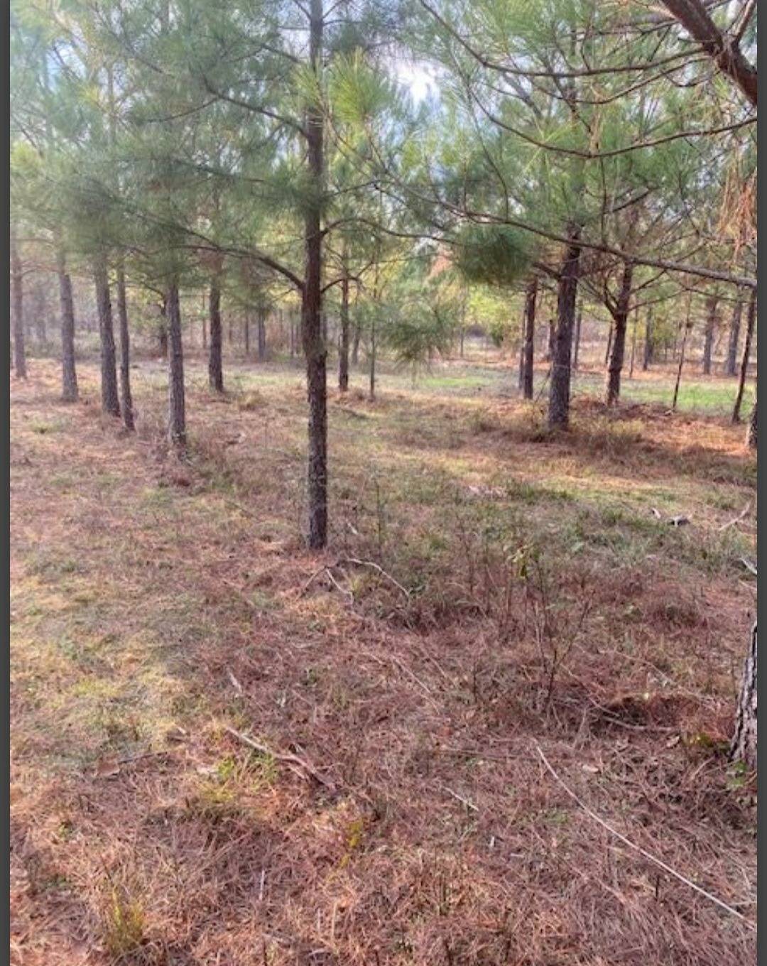 Photo 3 of 6 of land for sale at Lot #4 HIdden pines, Broken Bow, OK 74728