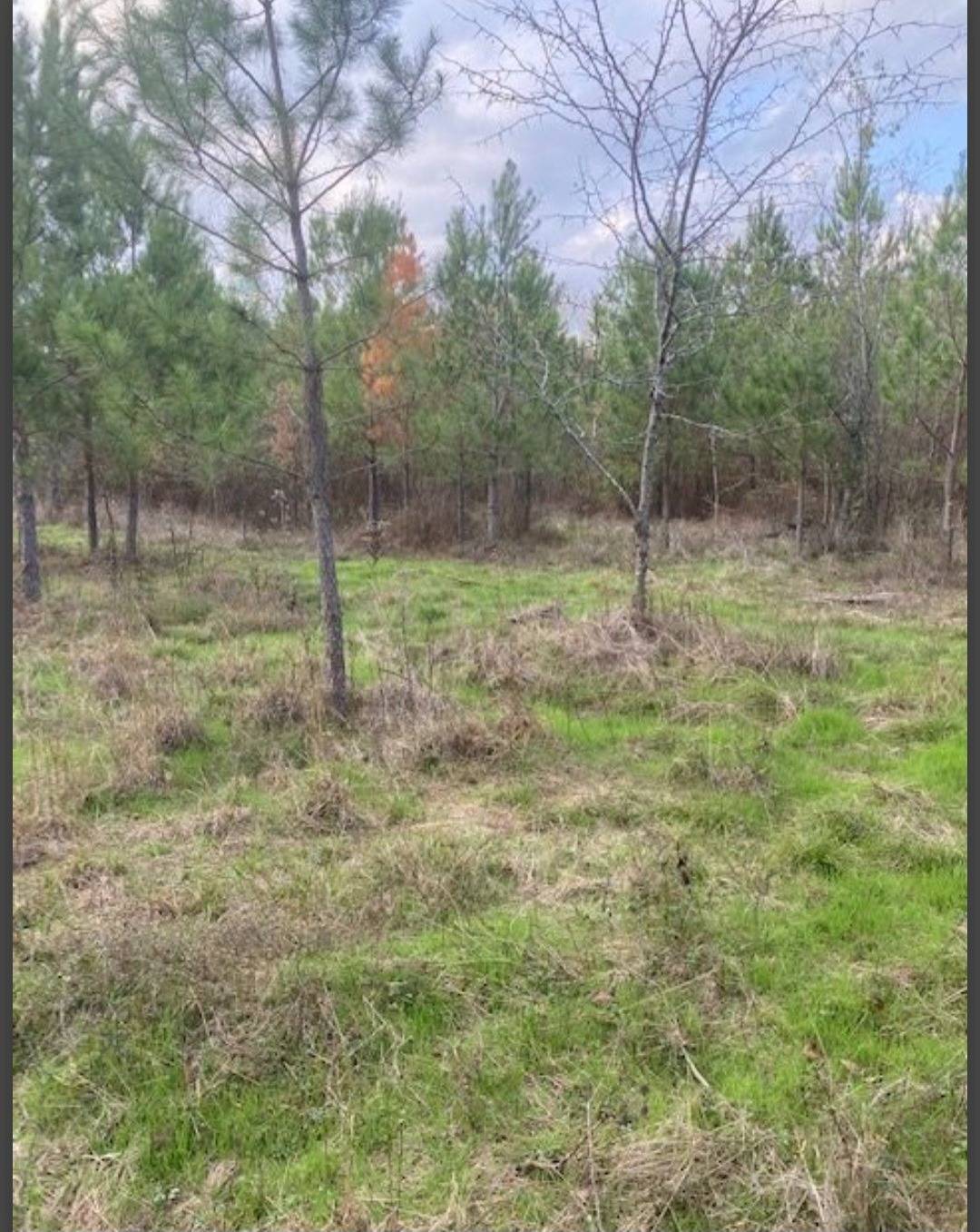 Photo 5 of 6 of land for sale at Lot #4 HIdden pines, Broken Bow, OK 74728