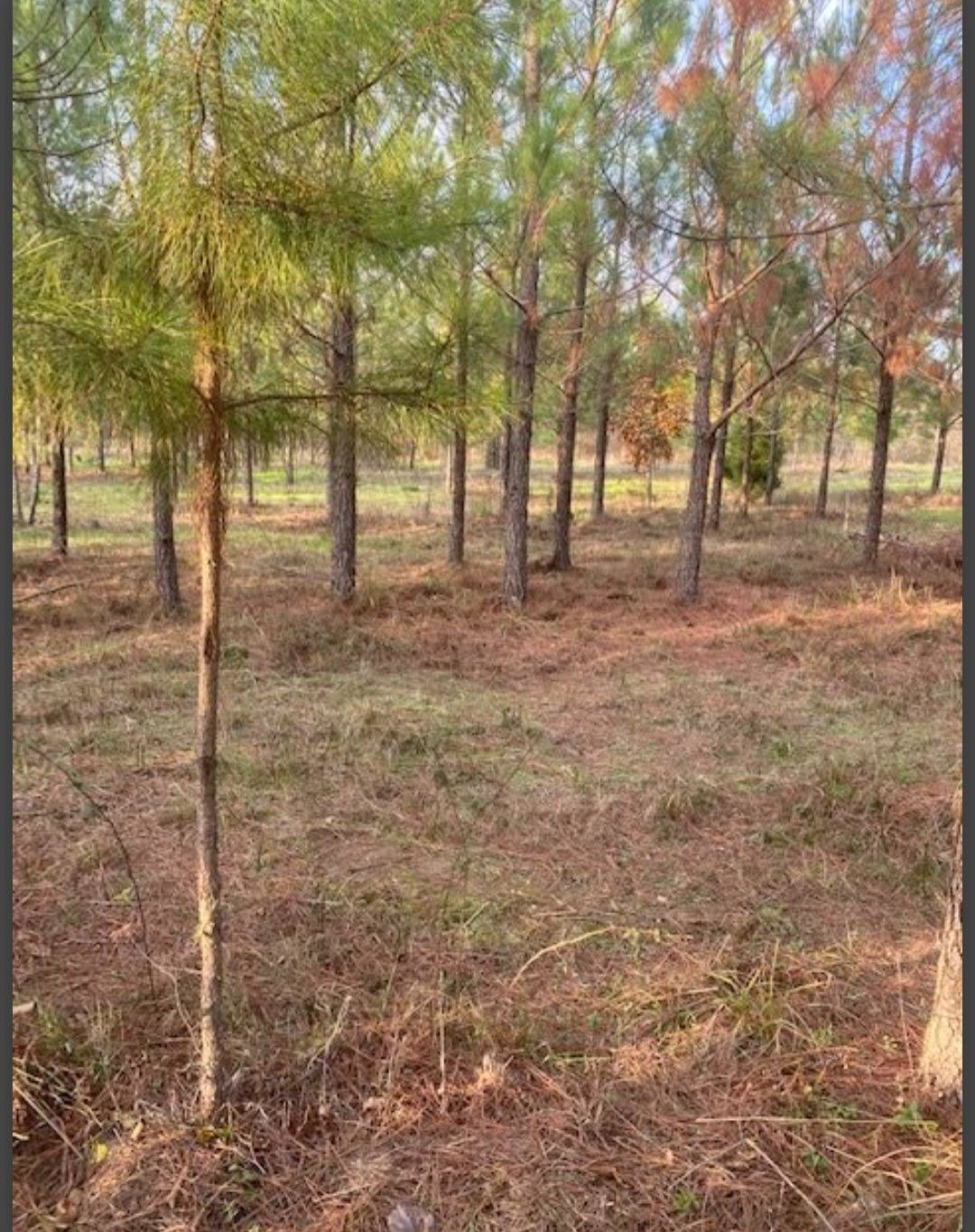 Photo 2 of 6 of land for sale at Lot #4 HIdden pines, Broken Bow, OK 74728