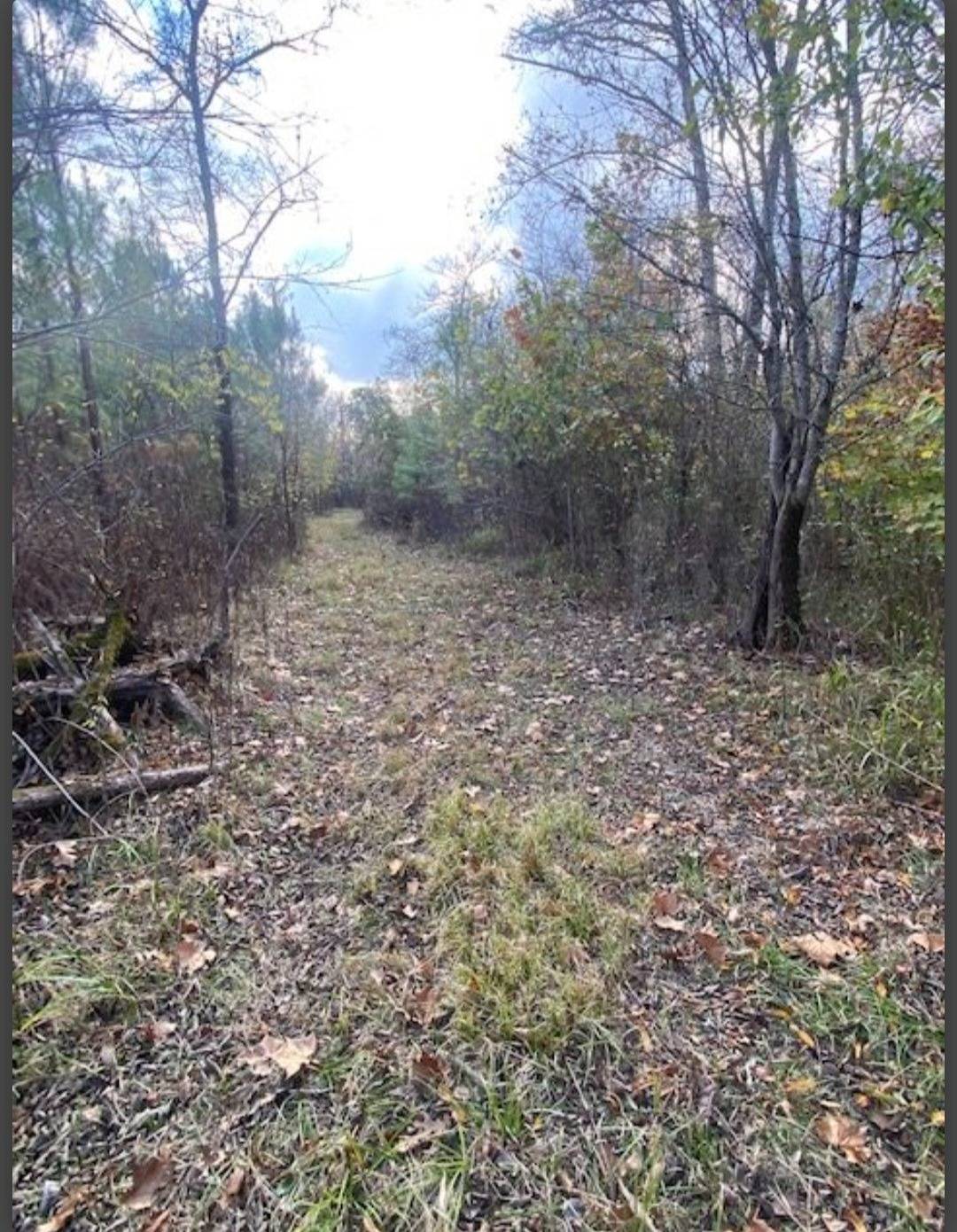 Photo 2 of 5 of land for sale at Lot 19 Hidden Pines, Broken Bow, OK 74728