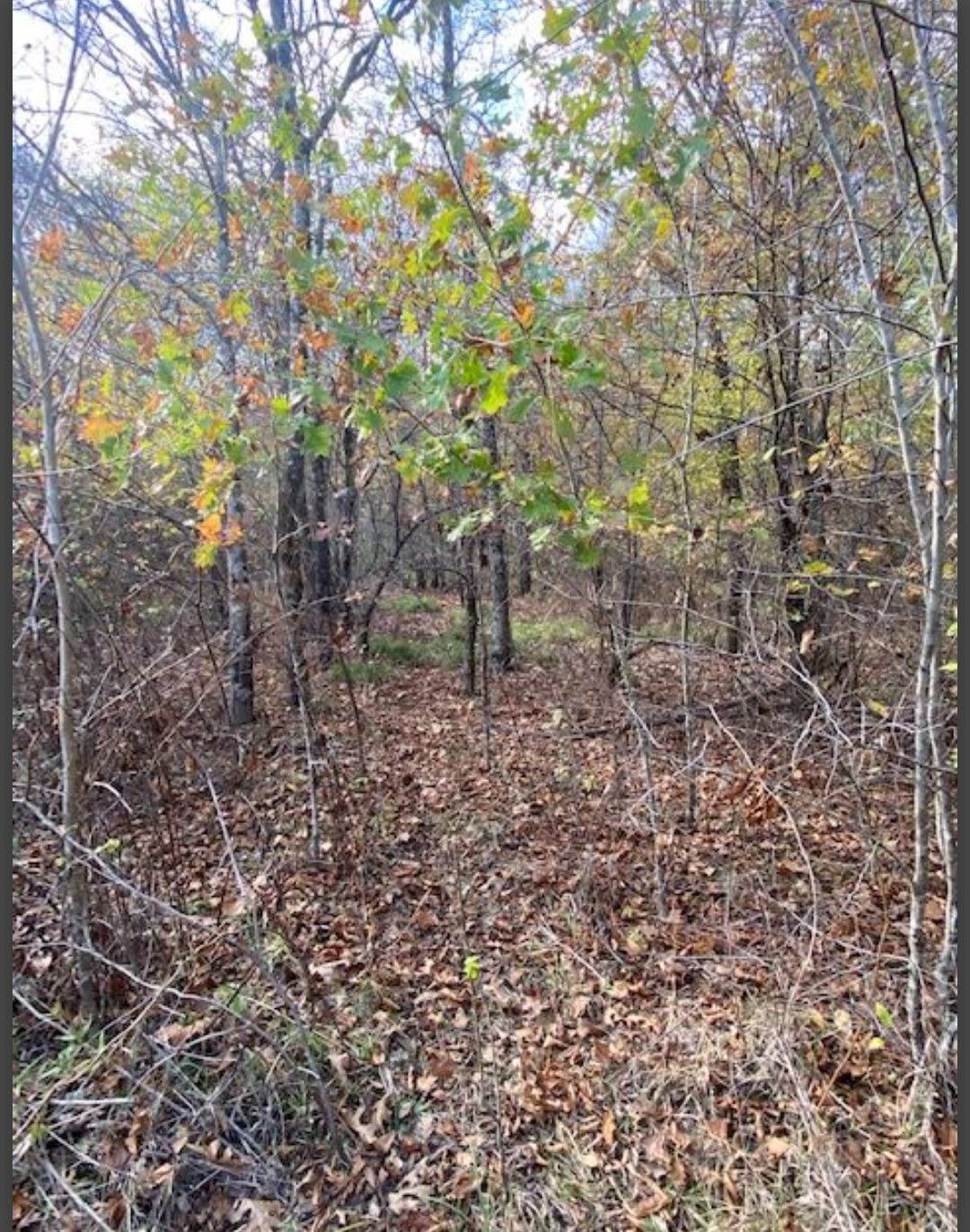 Photo 3 of 5 of land for sale at Lot 19 Hidden Pines, Broken Bow, OK 74728