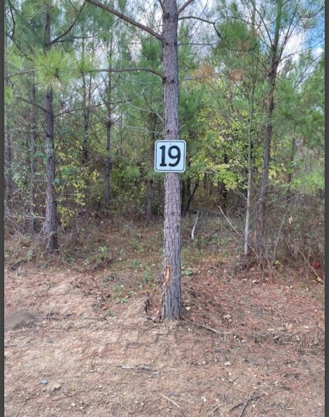 Photo 1 of 5 of land for sale at Lot 19 Hidden Pines, Broken Bow, OK 74728