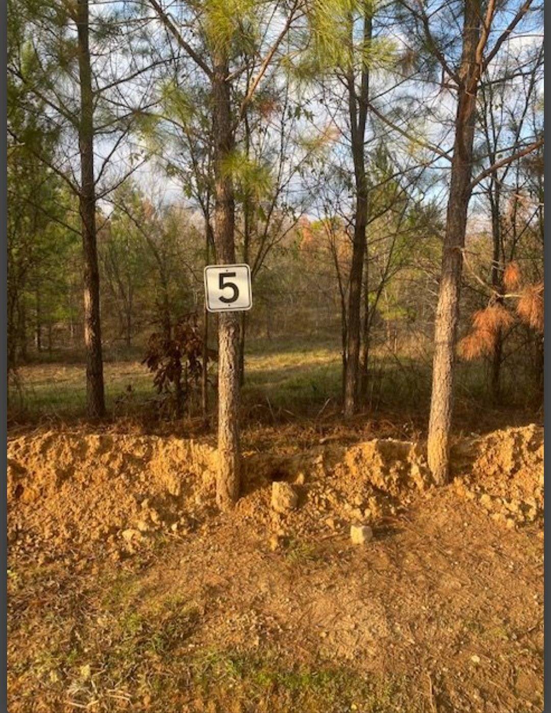 Photo 1 of 5 of land for sale at Lot #5 Hidden Pines, Broken Bow, OK 74728