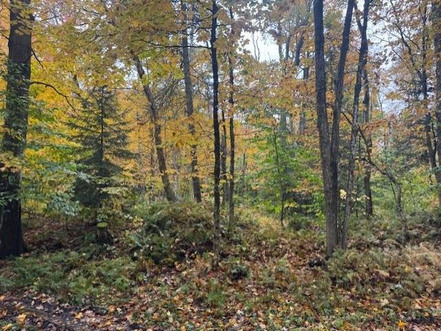10 acres in Lewis County, NY: hunting land for sale near Redfield, NY