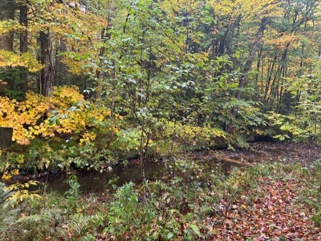 10-Acre Hunting Land for Sale, Lewis County, NY, photo 2 of 8