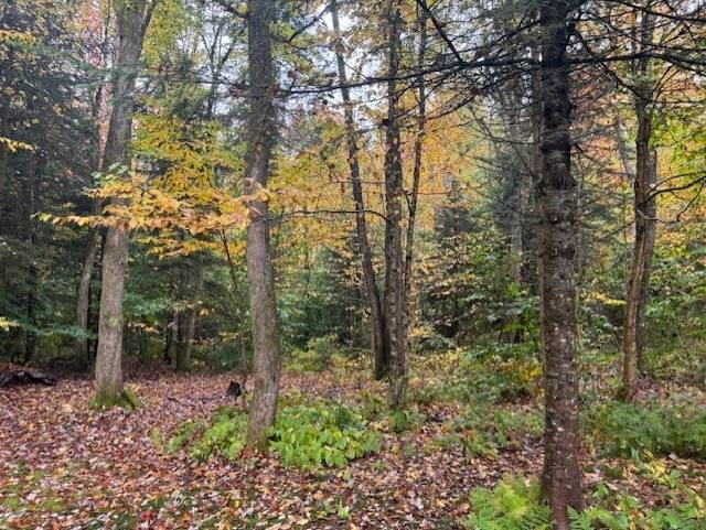 10-Acre Hunting Land for Sale, Lewis County, NY, photo 3 of 8