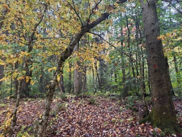 Photo 4 of 8 of land for sale at 1447 N Osceola Rd #1, Redfield, NY 13437