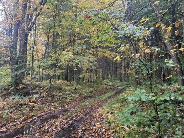 Photo 5 of 8 of land for sale at 1447 N Osceola Rd #1, Redfield, NY 13437