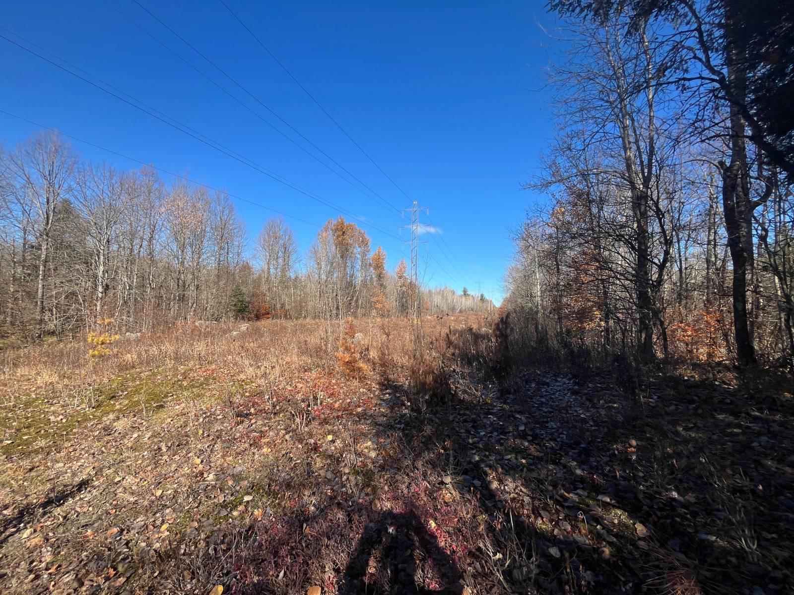 Photo 5 of 33 of land for sale at 00 Cold Brook Road #7, Colton, NY 13687