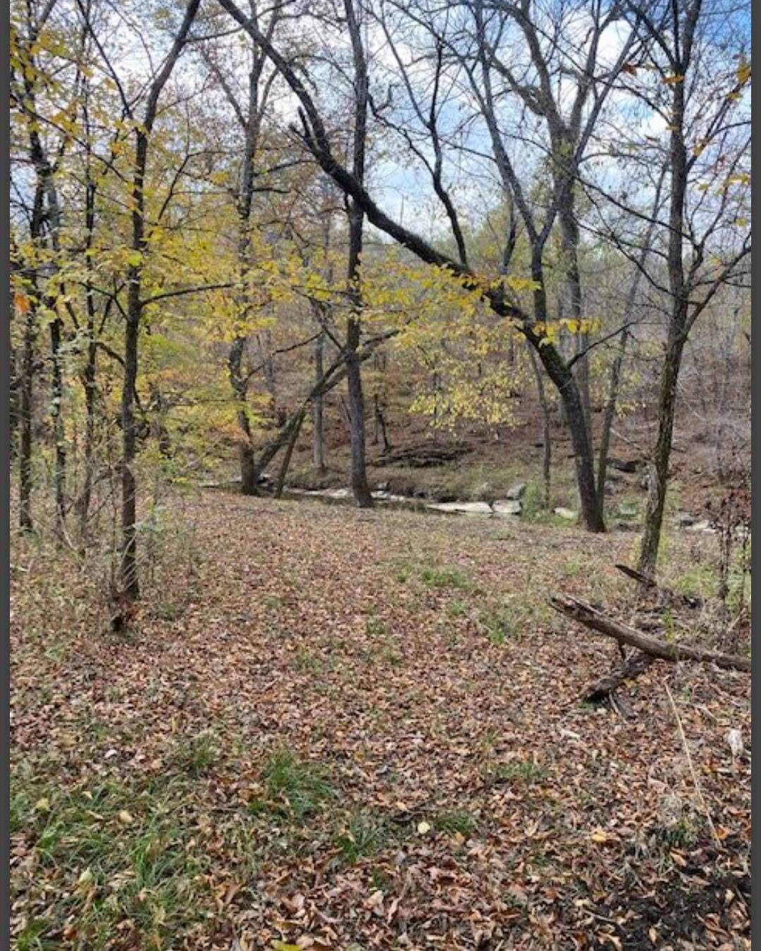 Photo 3 of 8 of land for sale at Lot 20 Hidden Pines, Broken Bow, OK 74728