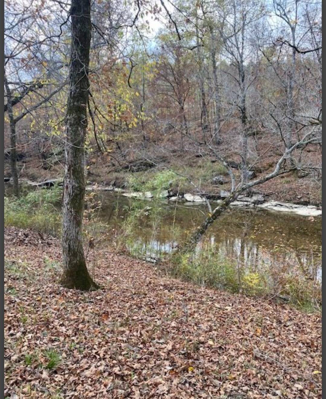 Photo 2 of 8 of land for sale at Lot 20 Hidden Pines, Broken Bow, OK 74728