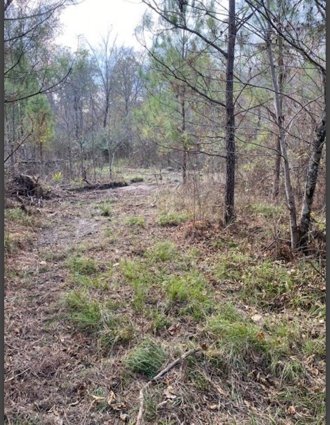 Photo 5 of 8 of land for sale at Lot 20 Hidden Pines, Broken Bow, OK 74728