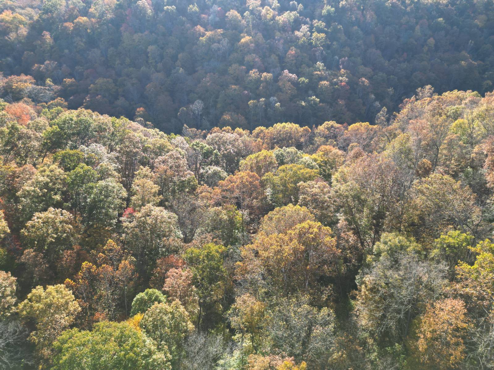 Photo 3 of 15 of land for sale at 000 Paxton Ridge, Walton, WV 25286