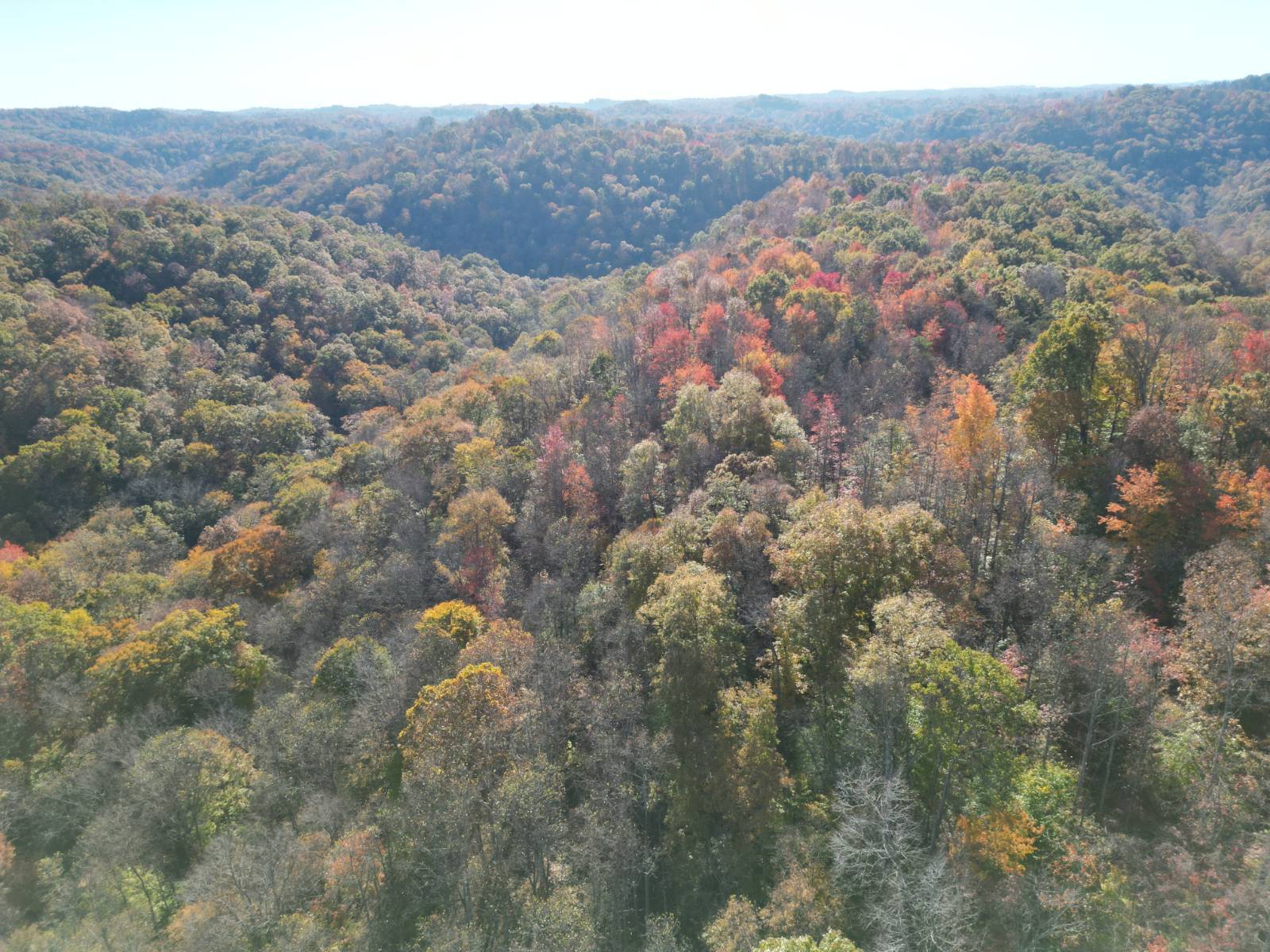 Photo 5 of 15 of land for sale at 000 Paxton Ridge, Walton, WV 25286