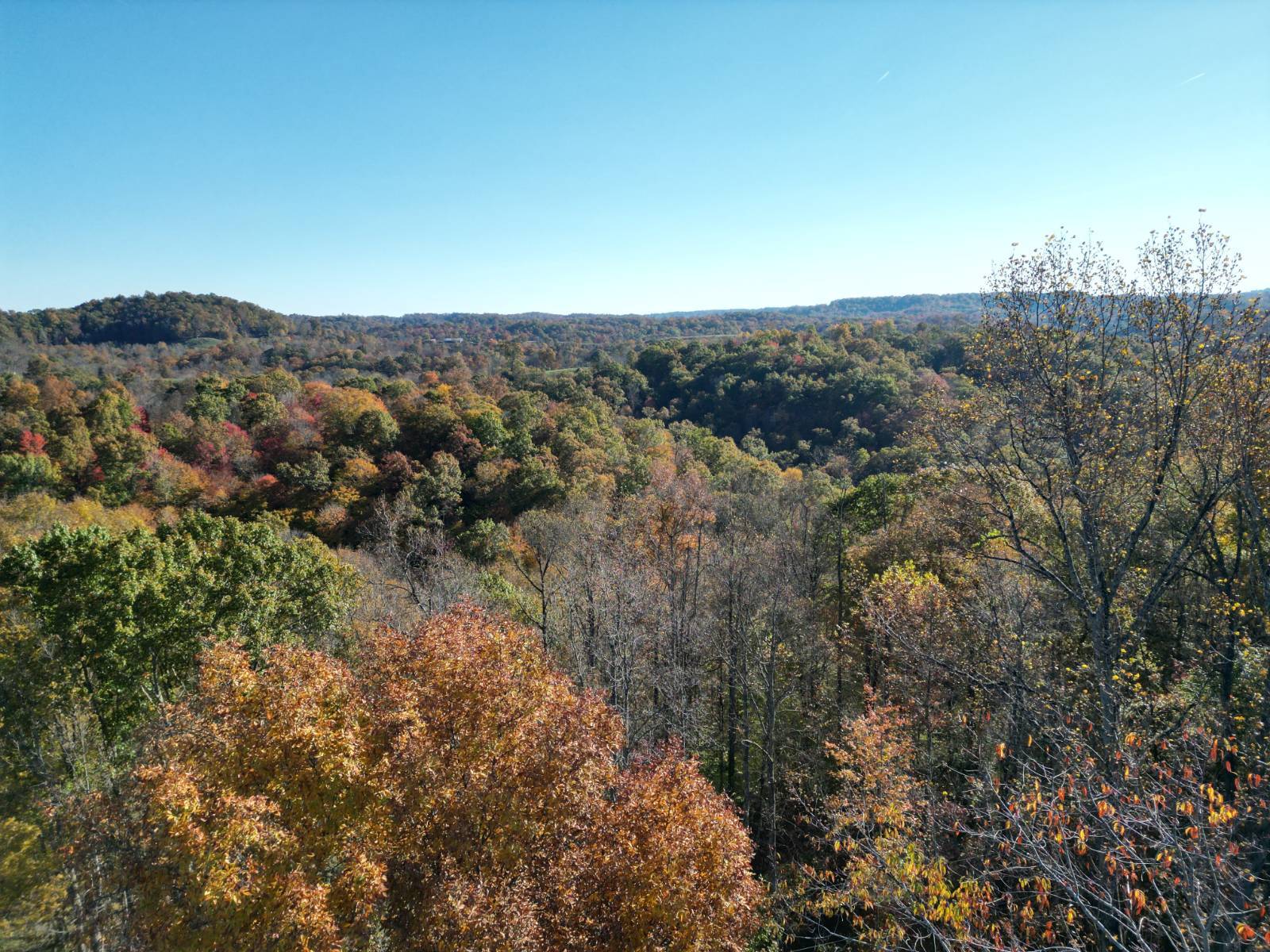 Photo 4 of 15 of land for sale at 000 Paxton Ridge, Walton, WV 25286