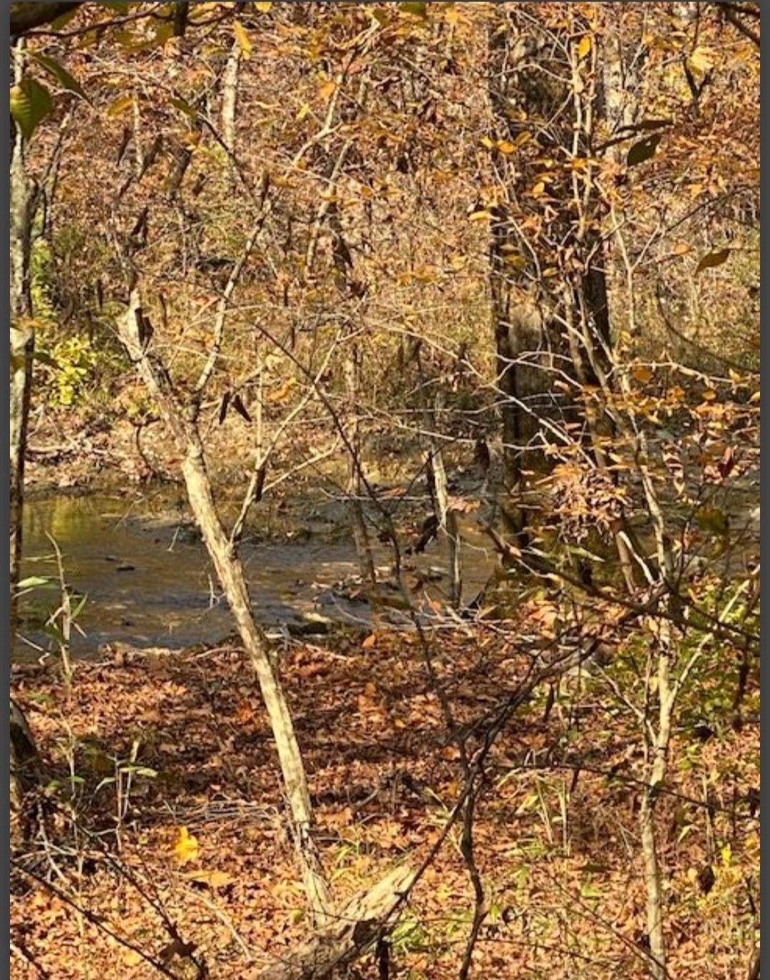Photo 2 of 6 of land for sale at Lot 22 Hidden Pines, Broken Bow, OK 74728