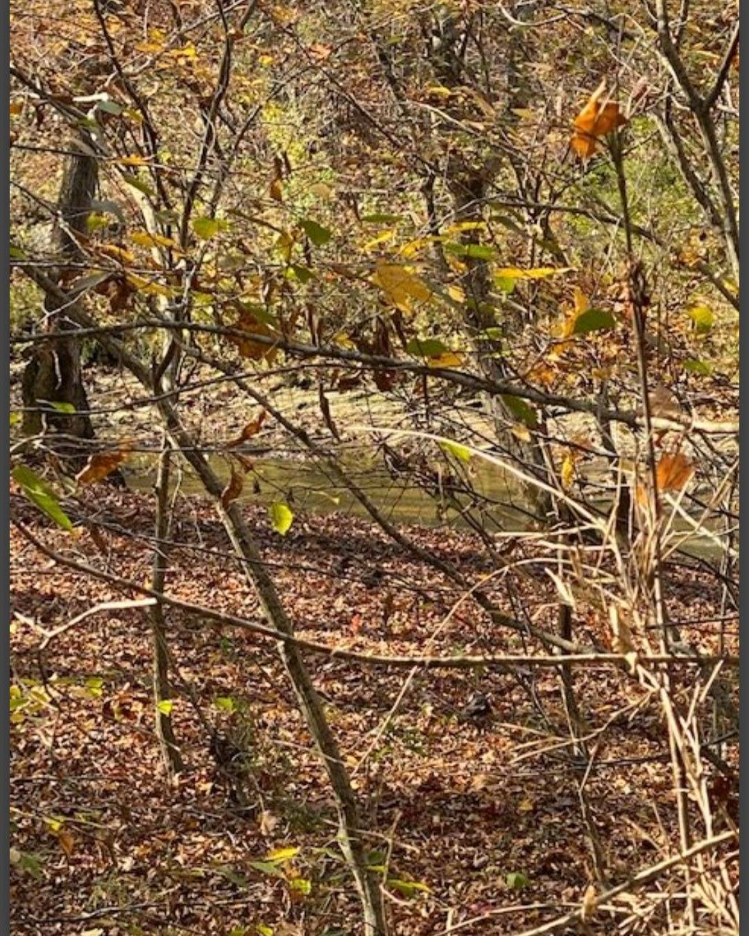 Photo 4 of 6 of land for sale at Lot 22 Hidden Pines, Broken Bow, OK 74728