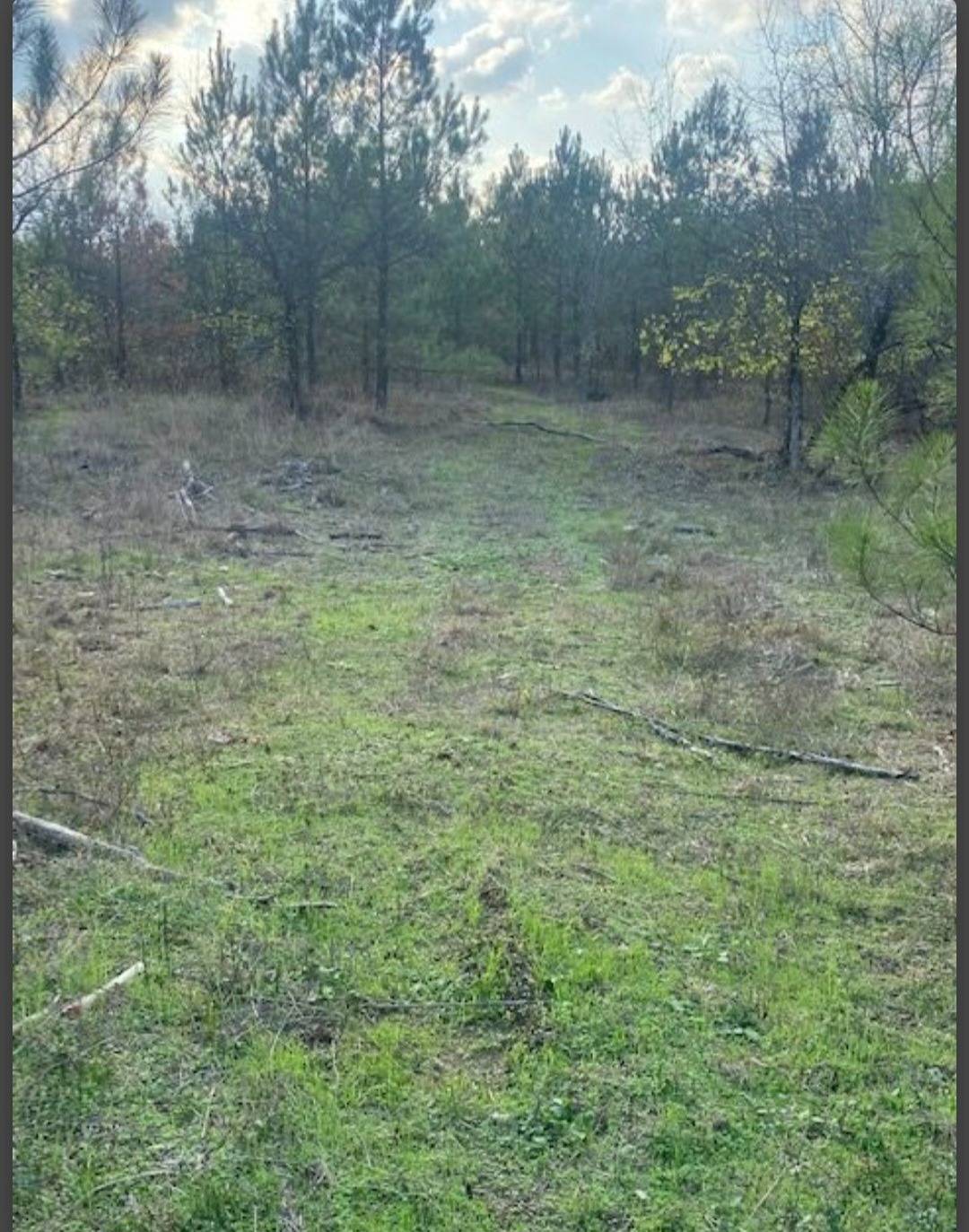 Photo 2 of 4 of land for sale at Lot 30 Hidden pines, Broken Bow, OK 74728