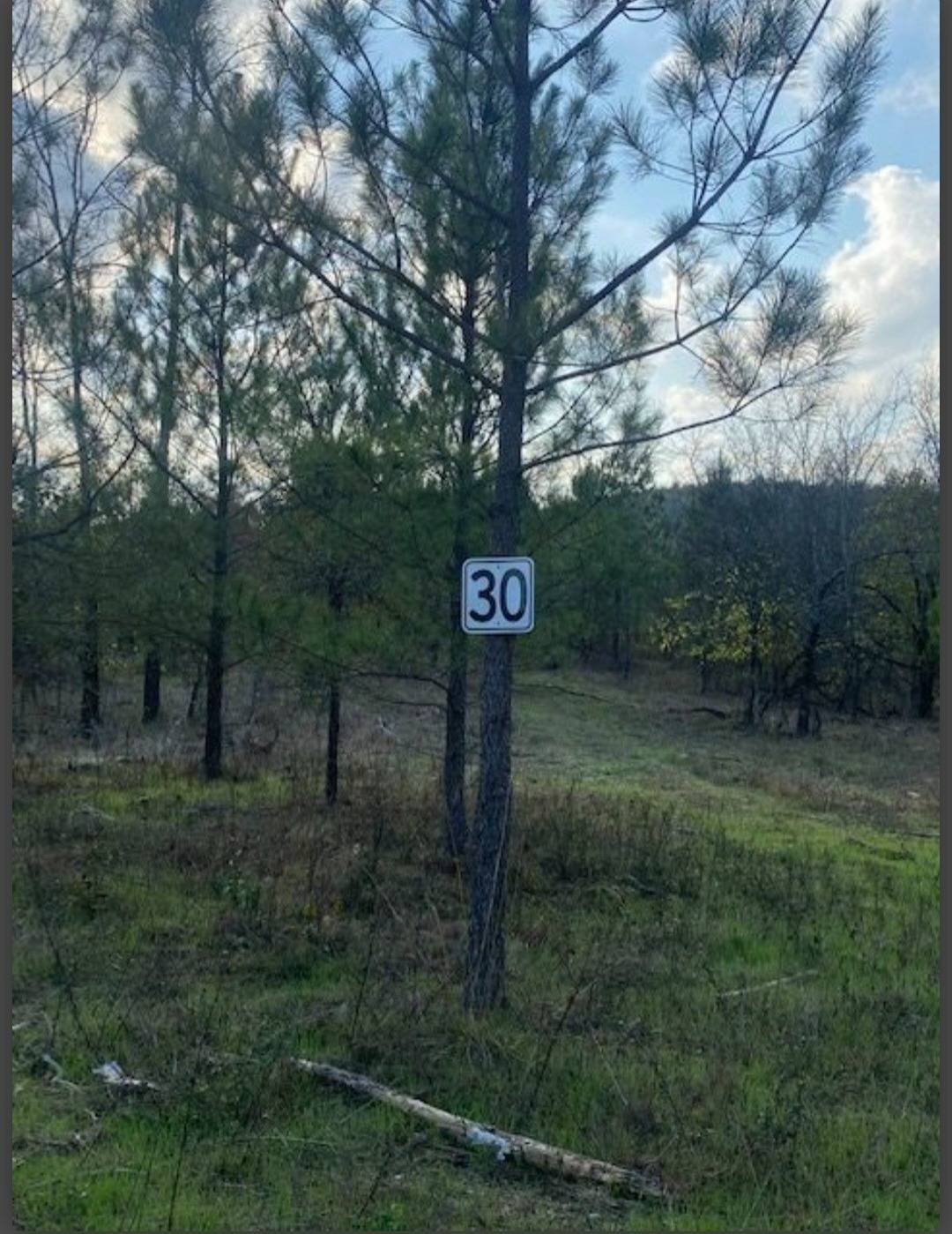 Photo 1 of 4 of land for sale at Lot 30 Hidden pines, Broken Bow, OK 74728