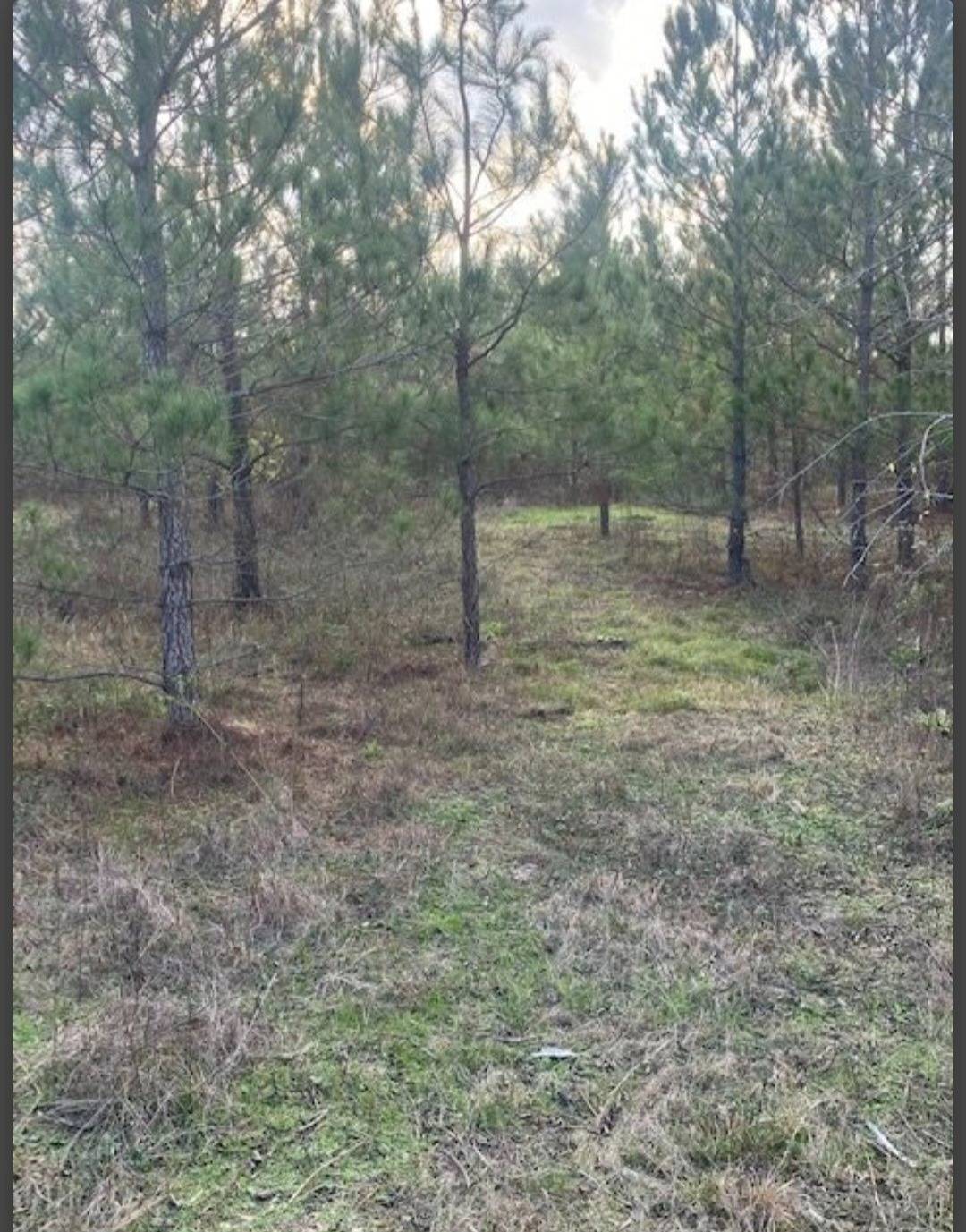 Photo 3 of 4 of land for sale at Lot 30 Hidden pines, Broken Bow, OK 74728