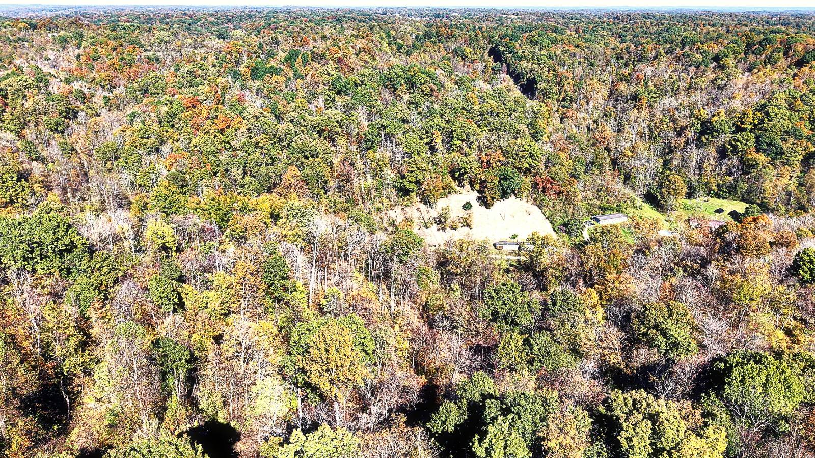 15.2-Acre Hunting Land for Sale, Gallia County, OH, photo 3 of 16