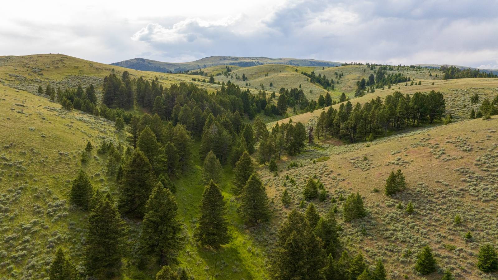 Photo 2 of 33 of farm or ranch property for sale at 208 Battle Creek Road, White Sulphur Springs, MT 59645