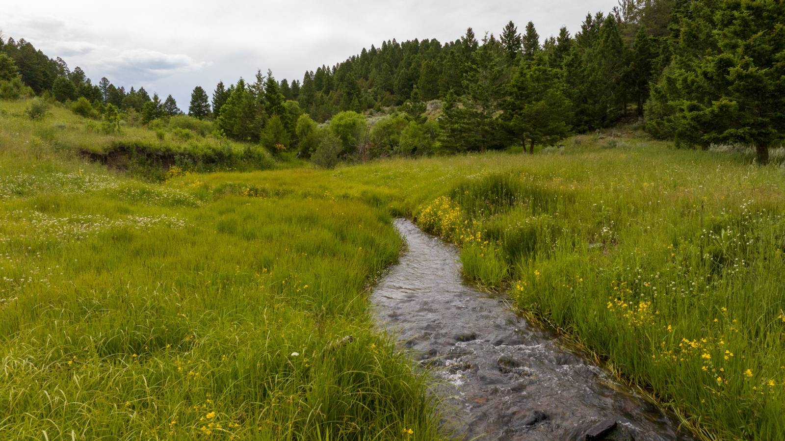Photo 4 of 33 of farm or ranch property for sale at 208 Battle Creek Road, White Sulphur Springs, MT 59645