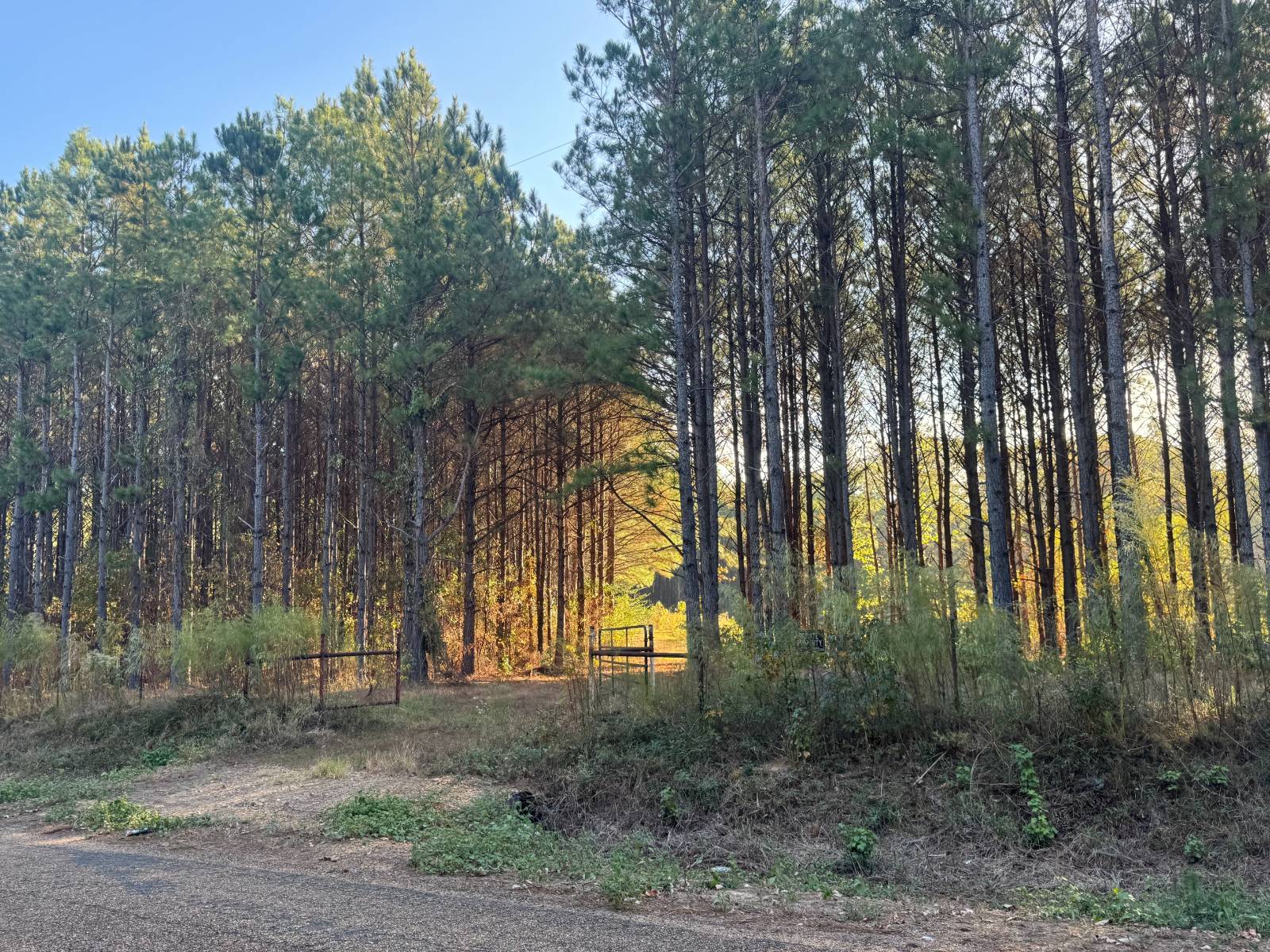 Photo 1 of 8 of land for sale at 00 Columbia Road 43, Magnolia, AR 71753
