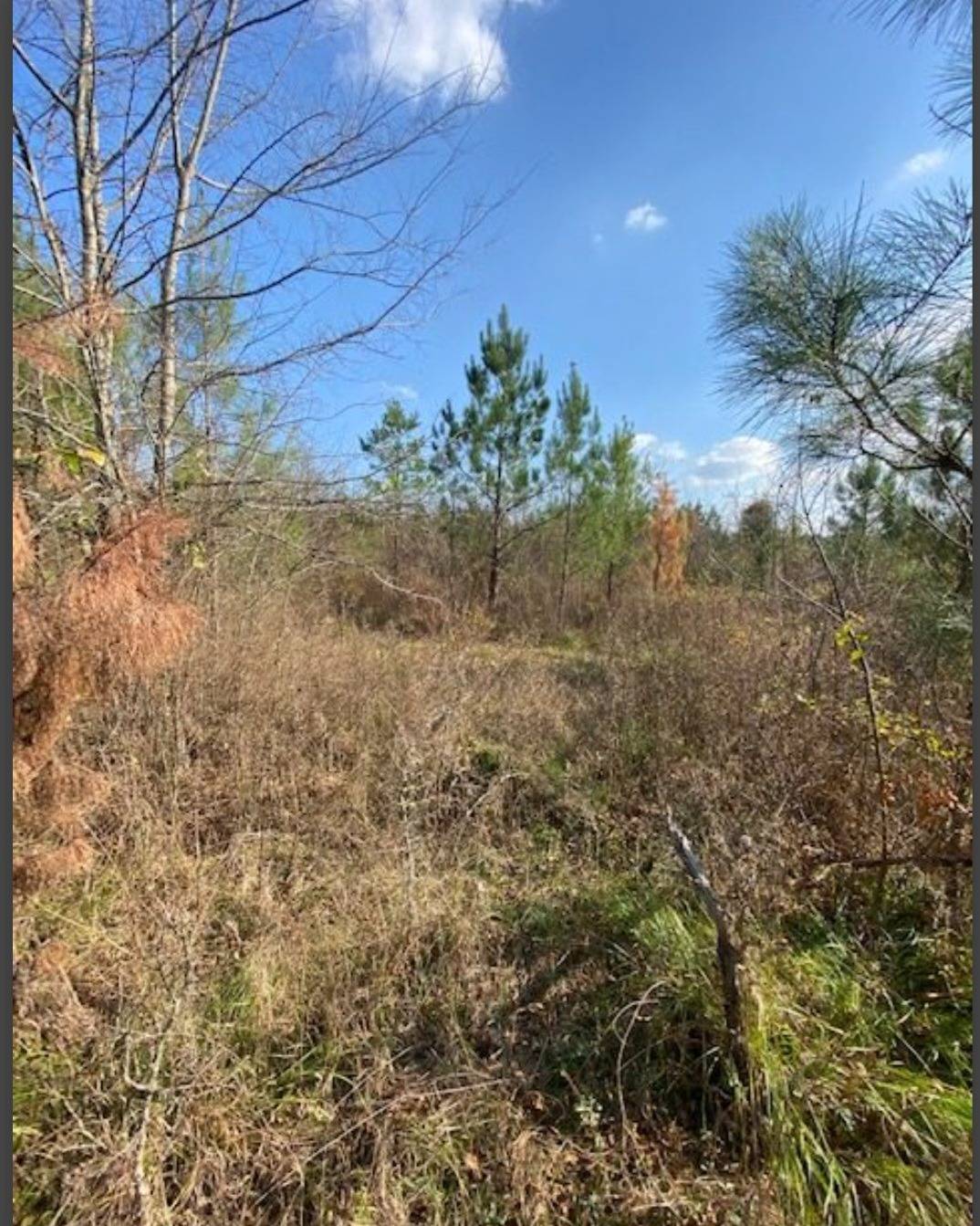 Photo 3 of 4 of land for sale at Lot 31 Hidden Pines, Broken Bow, OK 74728