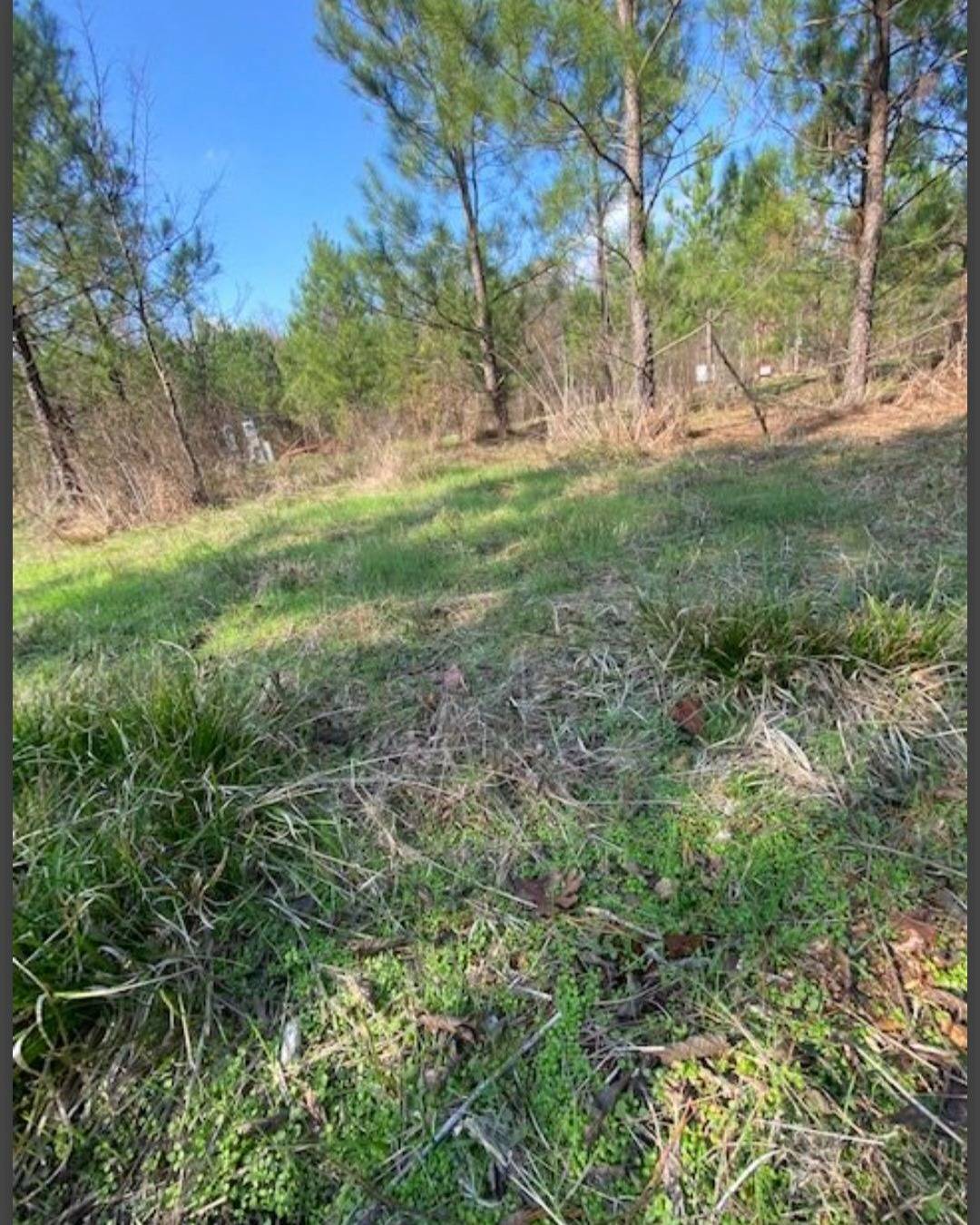 Photo 2 of 4 of land for sale at Lot 31 Hidden Pines, Broken Bow, OK 74728