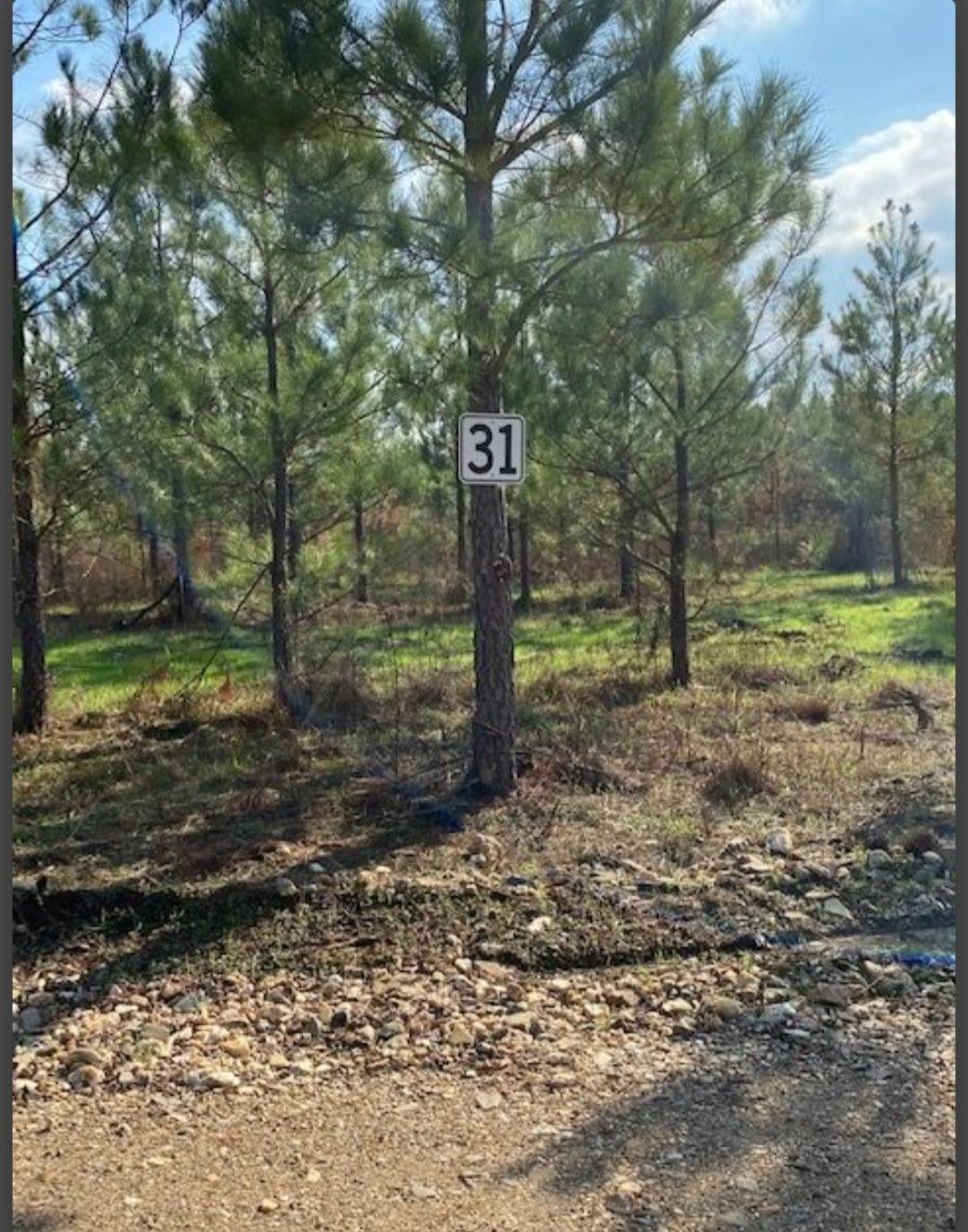 Photo 1 of 4 of land for sale at Lot 31 Hidden Pines, Broken Bow, OK 74728