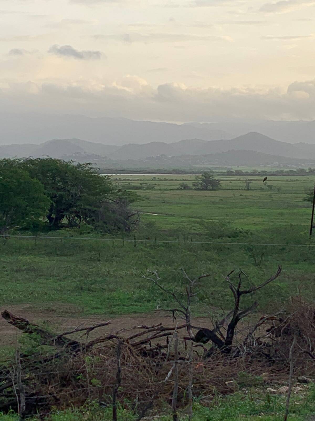 Photo 5 of 5 of land for sale at 116 Fausto Palmieri, Lajas, PR 00667