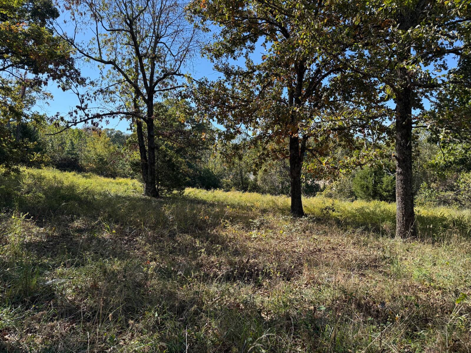 Photo 2 of 3 of land for sale at 0 Ar Highway 115, Cave City, AR 72521