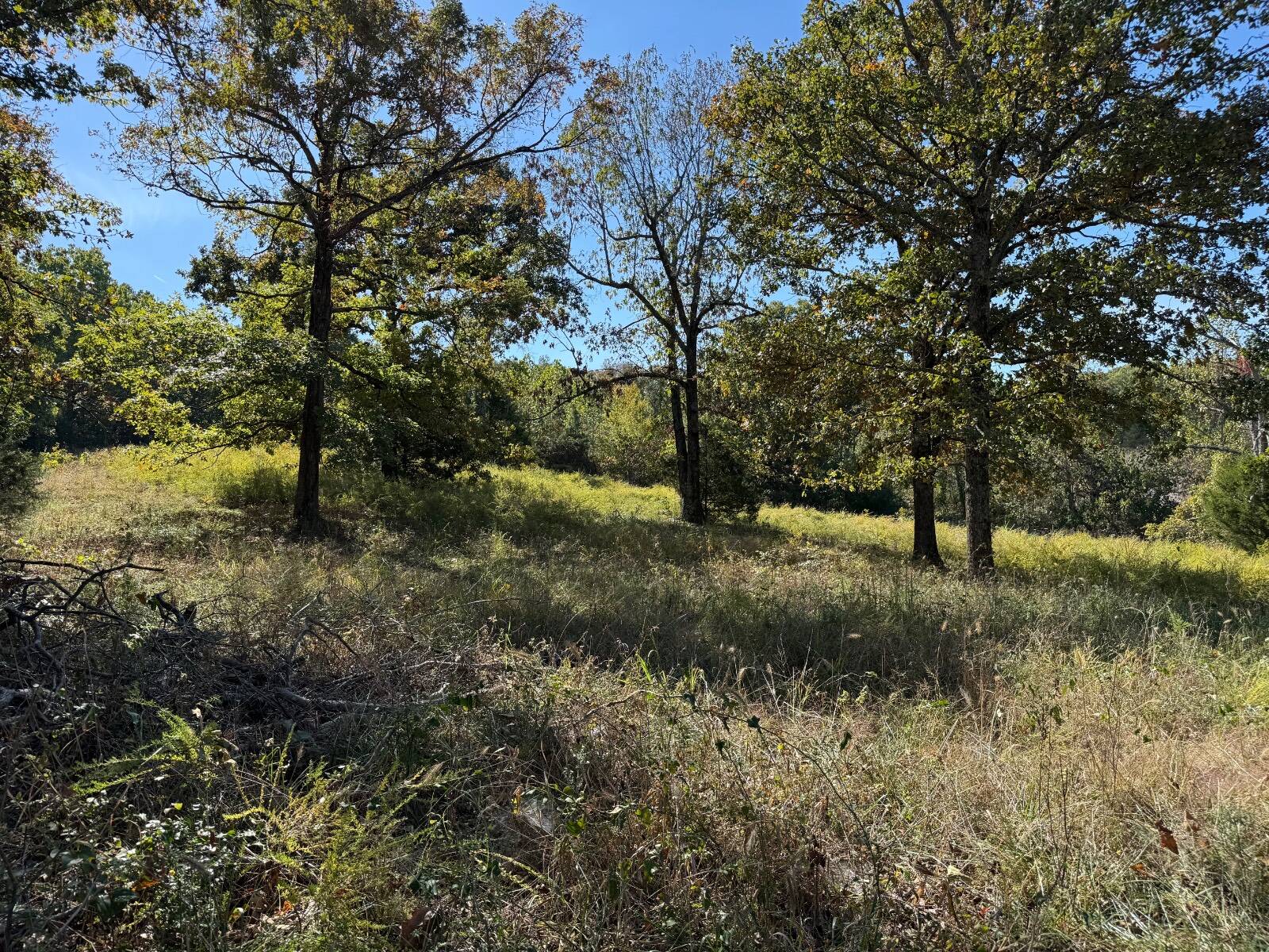 Photo 1 of 3 of land for sale at 0 Ar Highway 115, Cave City, AR 72521