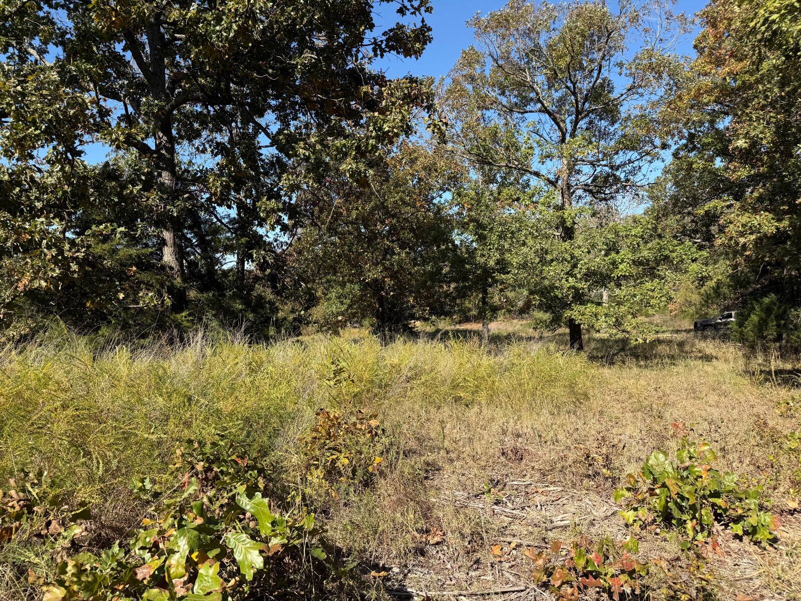 Photo 3 of 3 of land for sale at 0 Ar Highway 115, Cave City, AR 72521